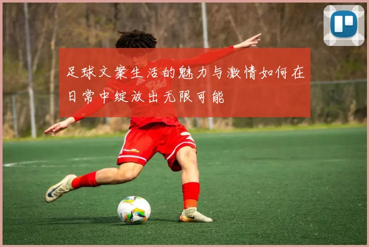 足球文案生活的魅力与激情如何在日常中绽放出无限可能