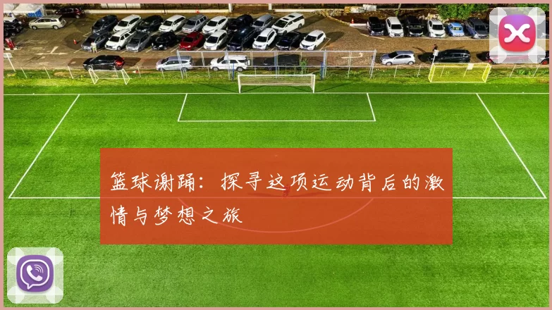 篮球谢踊：探寻这项运动背后的激情与梦想之旅