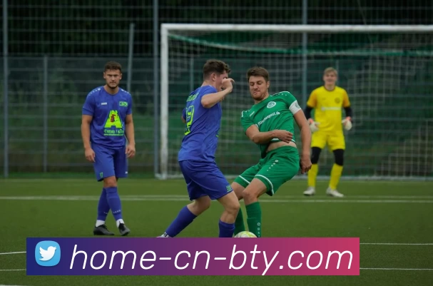 App Interface Preview