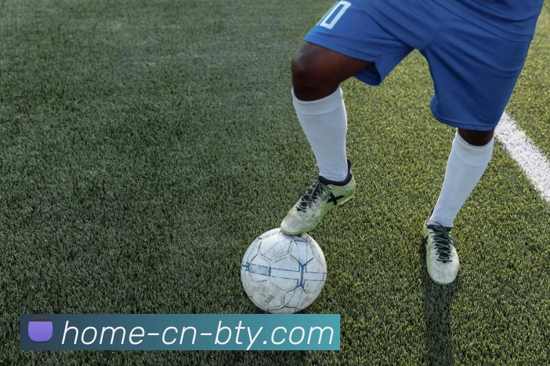 B体育APP 封面图